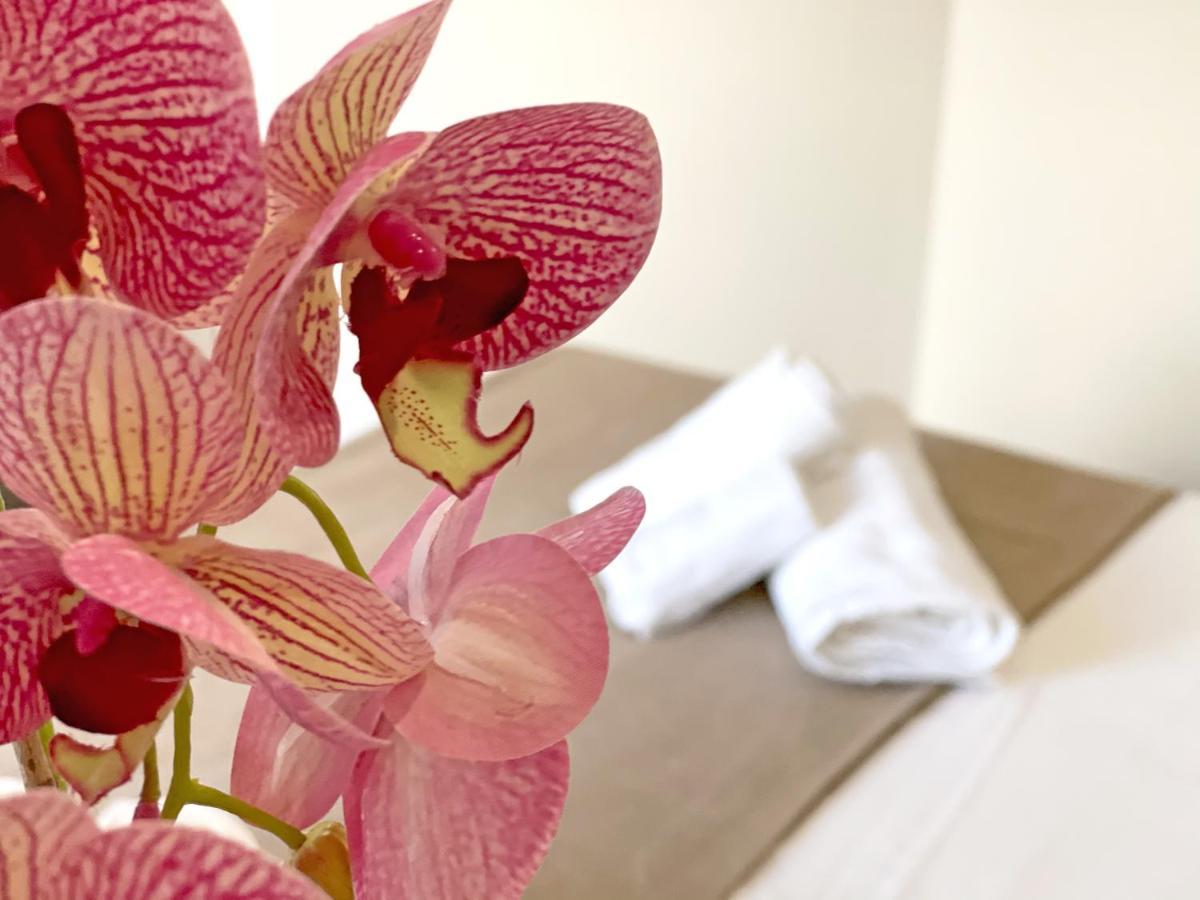 B & B Vilenia ซานนิโกลาอาร์เชลลา ภายนอก รูปภาพ